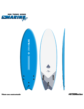 Storm Blade 6'6 Swallow Tail Surfboard