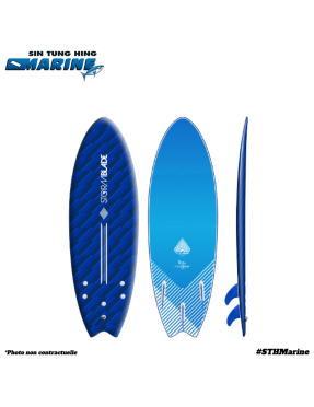 Storm Blade 5'6 Swallow Tail Surfboard