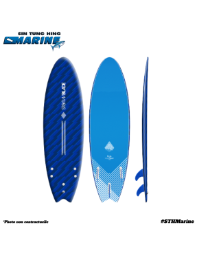 Storm Blade 6'6 Swallow Tail Surfboard