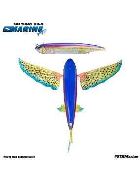 SLIPSTREAM 140 FLYING FISH SUNSPOT X