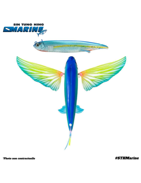 SLIPSTREAM 200 FLYING FISH AHI GHOST A