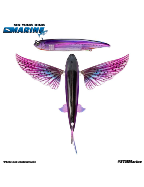 SLIPSTREAM 200 FLYING FISH PHANTOM A