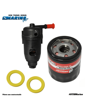 KIT RÉVISION 100H 175-300 CV V6/V8