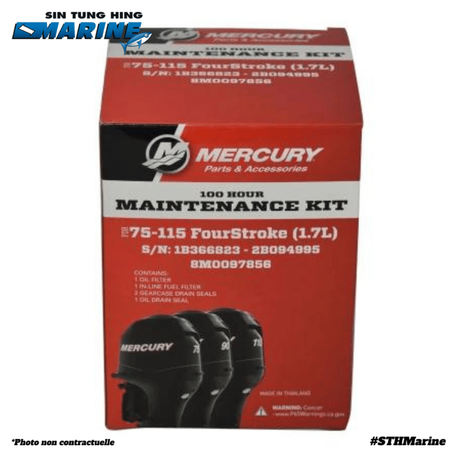 KIT REVISION 100H 75-115 CV 1.7L