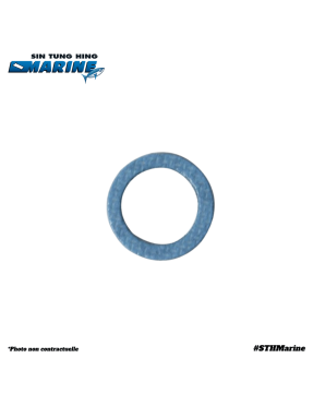 KIT REVISION 100H 75-115 CV 1.7L