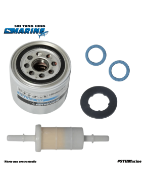 KIT REVISION 100H 75-115 CV 1.7L