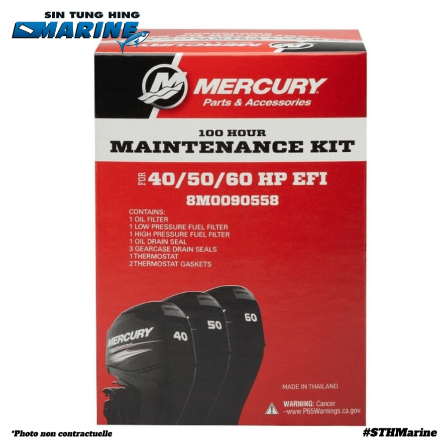 KIT RÉVISION 100H 40/50/60CV - MOTEUR TAHITI MERCURY MARINER