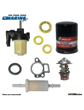 KIT RÉVISION 100H 40/50/60CV - MOTEUR TAHITI MERCURY MARINER - CONTENU