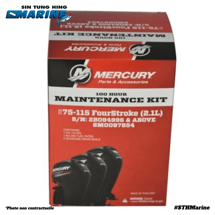 KIT REVISION 100H 75-115 CV 2.1L