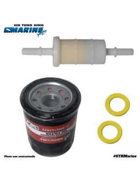 KIT REVISION 100H 75-115 CV 2.1L
