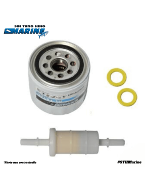 KIT REVISION 100H 150 CV