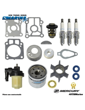 KIT RÉVISION 300H 25-30 CV