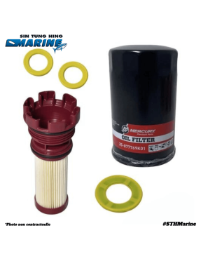 KIT REVISION 100H 200-300 CV VERADO - MOTEUR TAHITI MERCURY MARINER