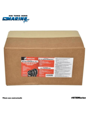 KIT REVISION 300H 300CV VERADO L6 - MOTEUR MERCURY MARINER