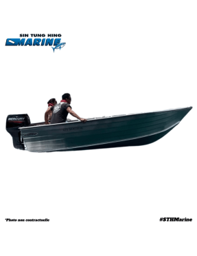 STESSL BOAT 4.35 DAREDEVIL & MOTORISATION MERCURY 40 CV MLH SUPER