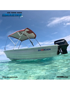 BARRACUDA 420 DORY - Bateau alluminium