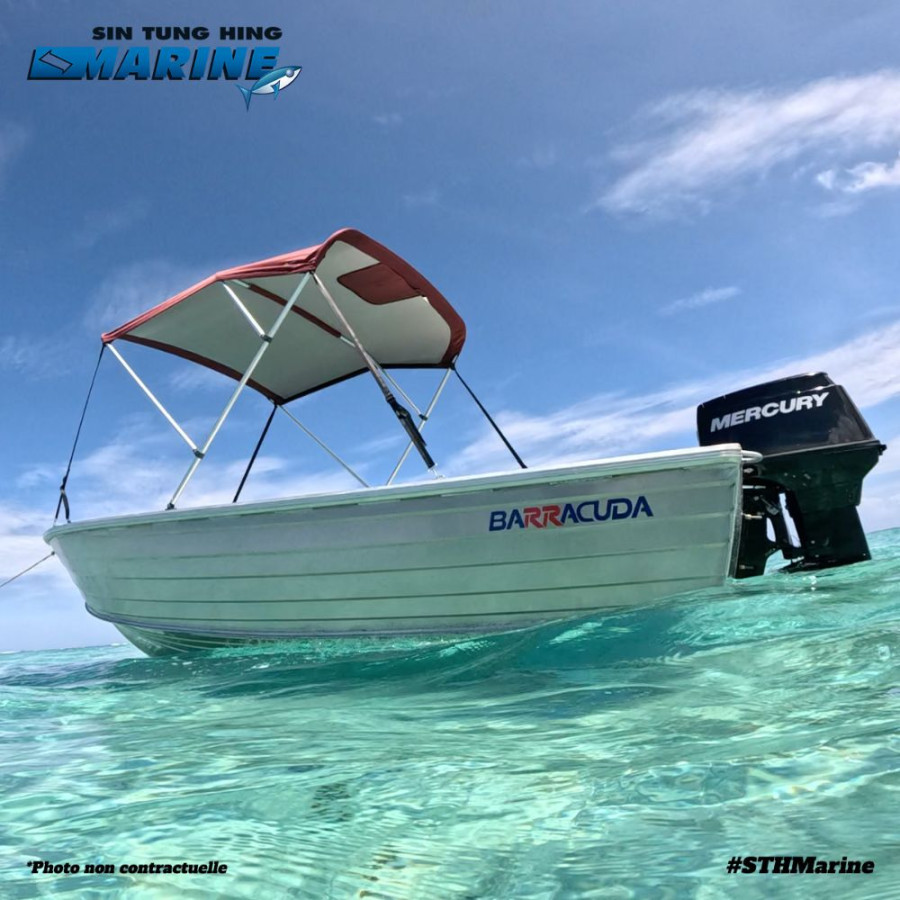 BARRACUDA 420 DORY - Bateau alluminium