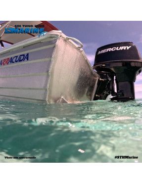 BARRACUDA 420 DORY - Bateau alluminium