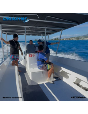 ARE 24 CRUISER - Bateau à moteur