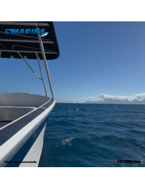 ARE 24 CRUISER - Bateau à moteur