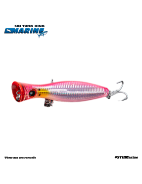 LURE NBL 9602 160mm/78g – Coloris NSB103