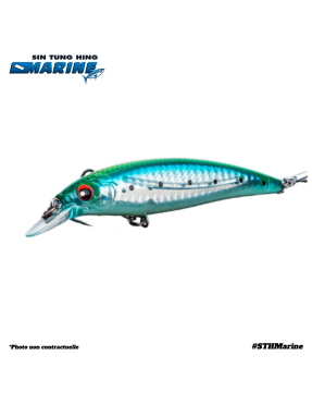 LURE C NBL9006 100mm/ 13.6g- NSL010