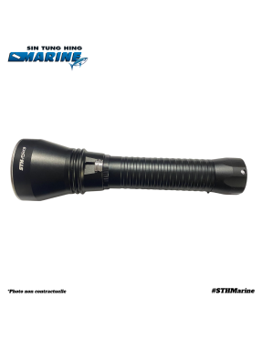 LAMPE TORCHE LED T15 KIT