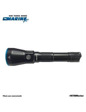 LAMPE TORCHE LED DIV 16