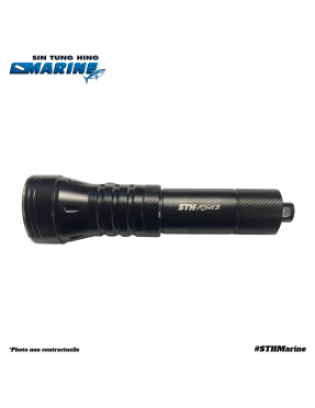 LAMPE TORCHE LED D260