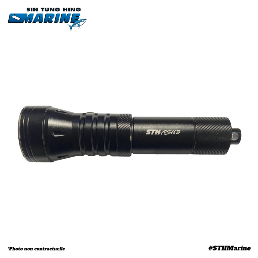 LAMPE TORCHE LED D260