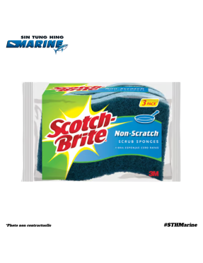 EPONGE A RECURER PAQUET DE 3