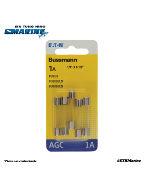 FUSE 1 AMP AGC 5pcs