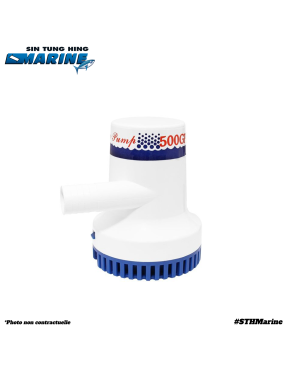 POMPE DE CALE 500GPH 