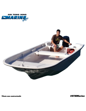 Bateau POLYFORM 17.5'SKIFF - Sin Tung Hing Marine