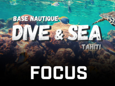 DIVE & SEA