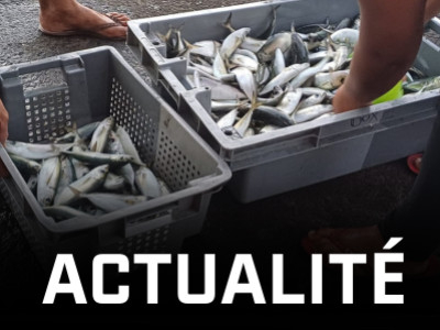 La Pêche au Ature