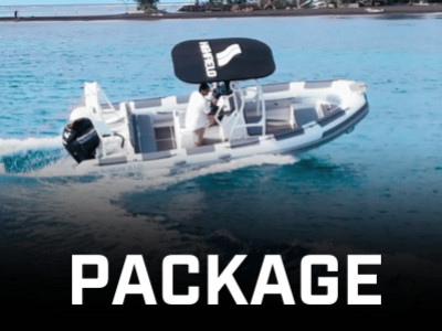 Highfield 600 - Mercury 115 SeaPro